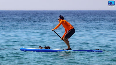 Affordable Inflatable Paddle Board: A Complete Guide