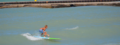 Surfboards Collection for Waves and Thrills